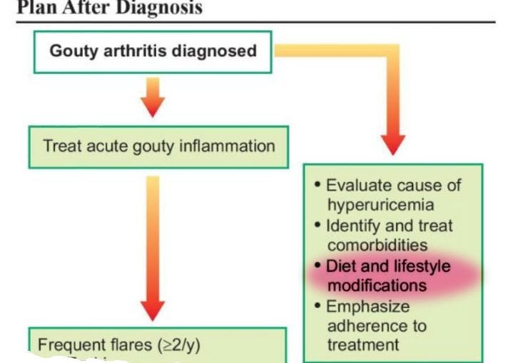 Gout Diet is part of Management Plan